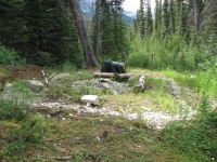 Former warden's cabin